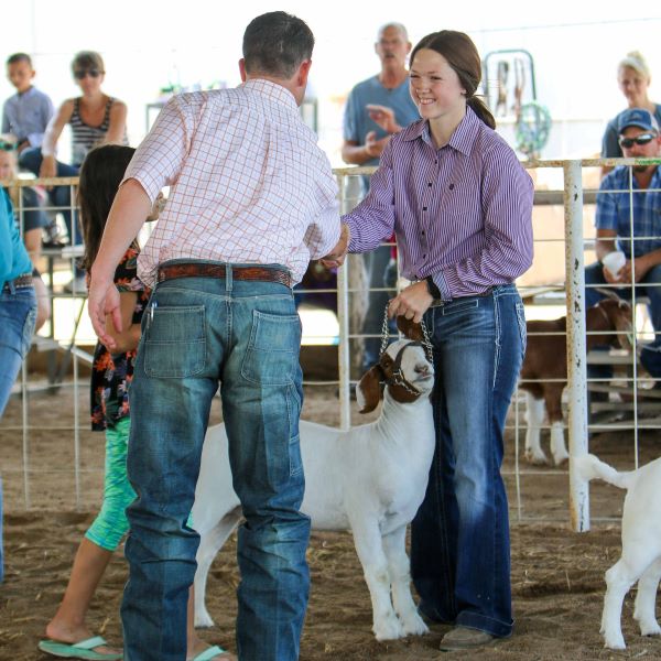 Goat Show Youth with Judge