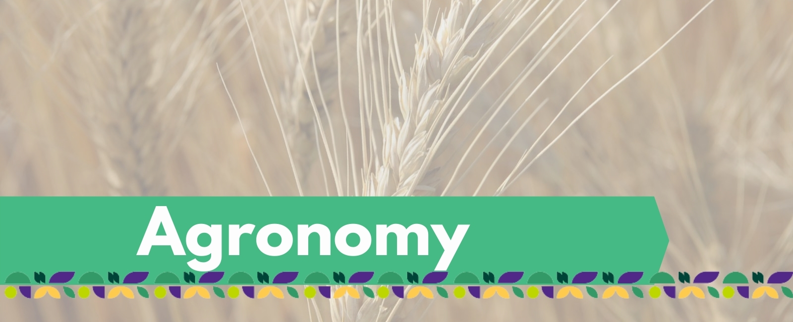 Agronomy-Project-Banner with Text