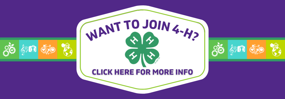 Join 4-H